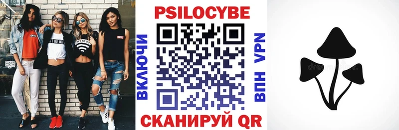 цена   blacksprut ссылка  Псилоцибиновые грибы Psilocybe  Юрюзань 